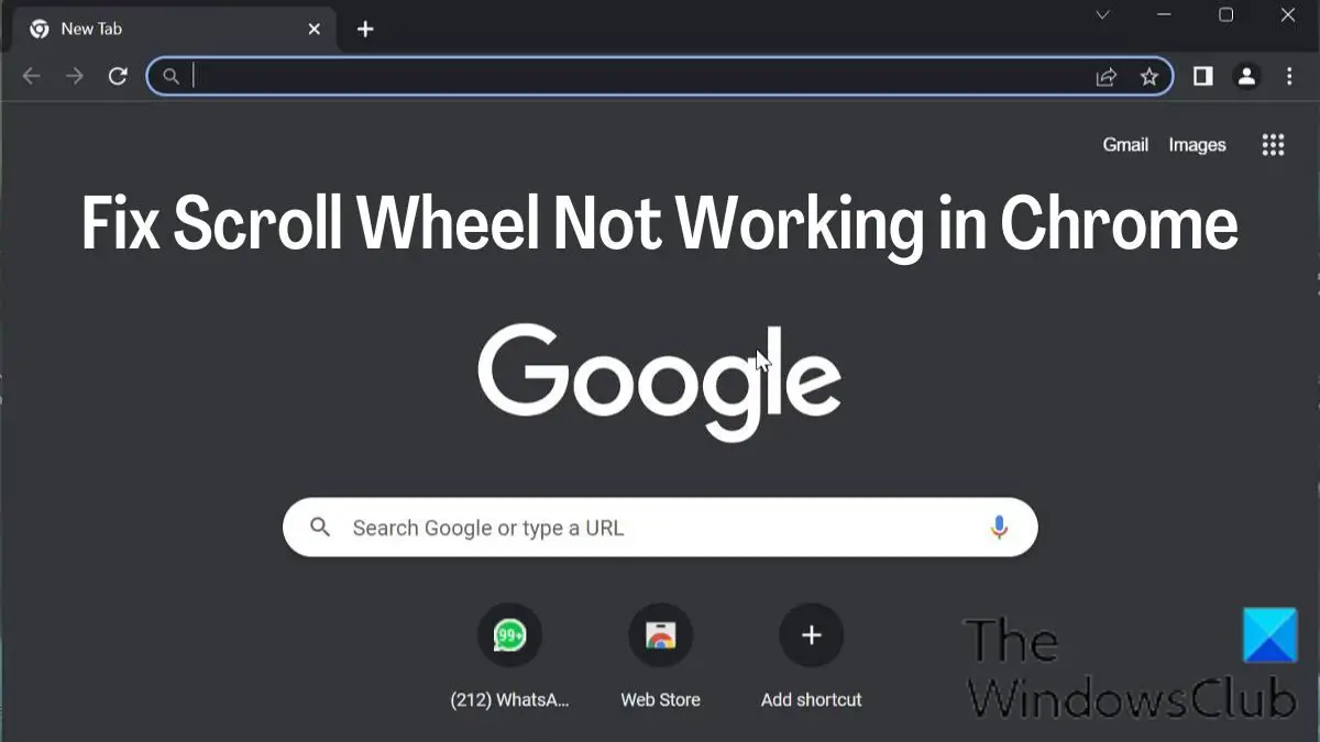 Fix Scroll Wheel Not Working in Chrome