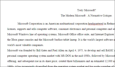 Essay Typer