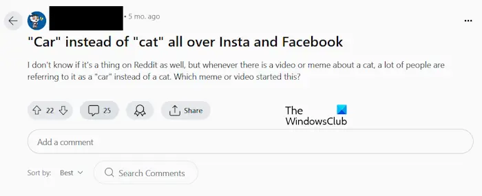 Instagram meme on Cat